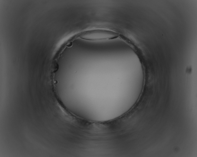 X0000091561312200708311406