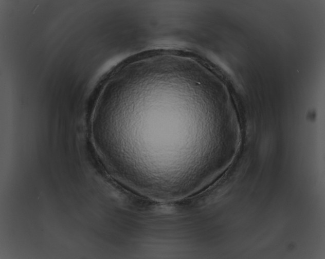 X0000091561315200708311406