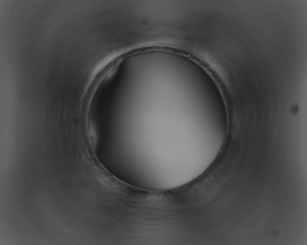 X0000091561316200708311406