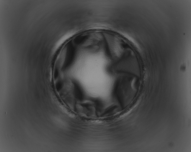 X0000091561317200708311406