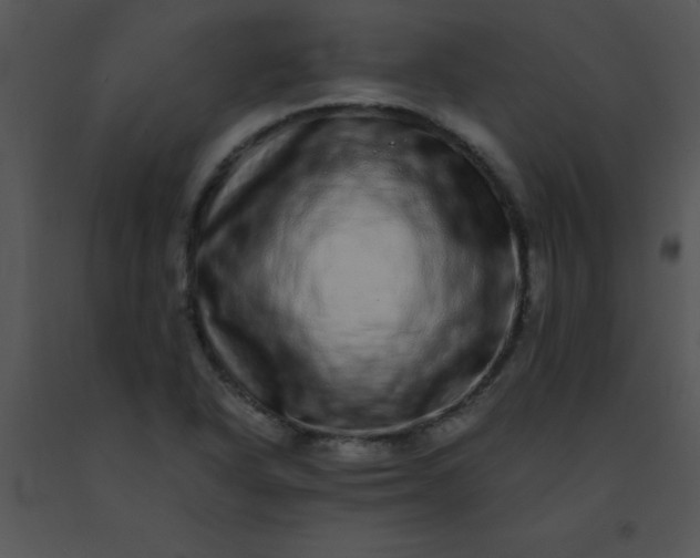 X0000091561318200708311406