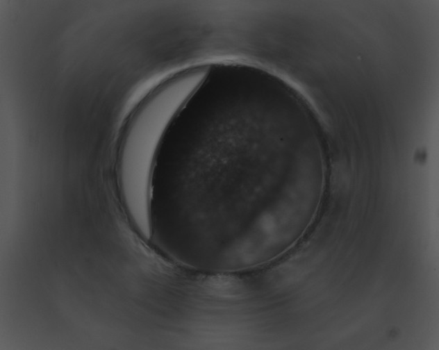 X0000091561319200708311406