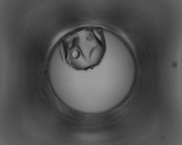 X0000091561320200708311406