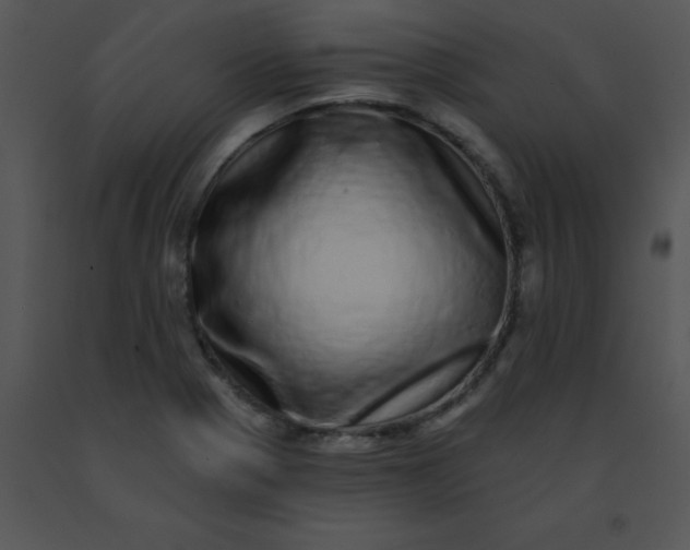 X0000091561321200708311406