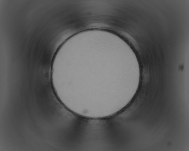 X0000091561322200708311406