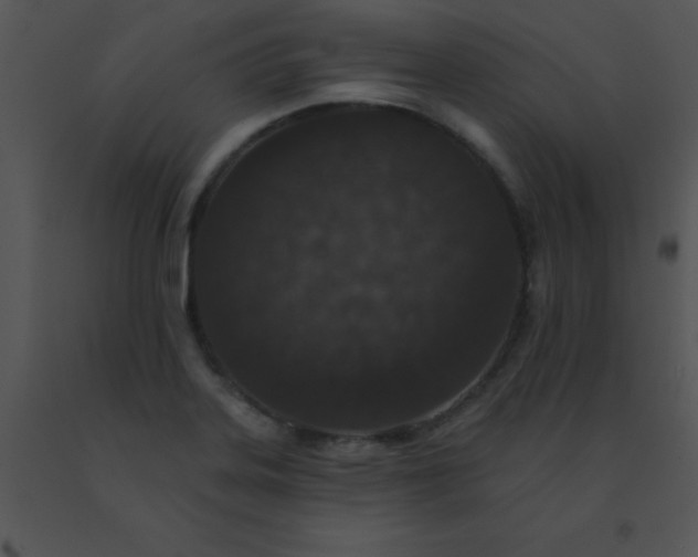 X0000091561323200708311406