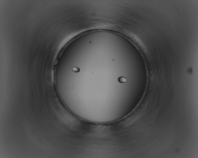 X0000091561324200708311406