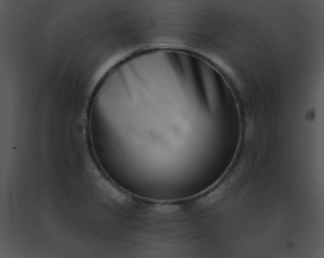 X0000091561325200708311406