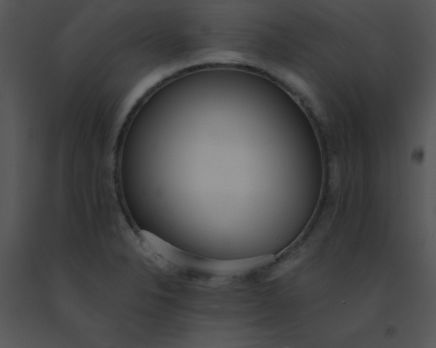 X0000091561326200708311406