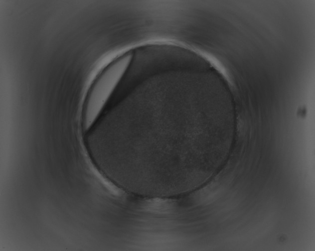 X0000091561327200708311406