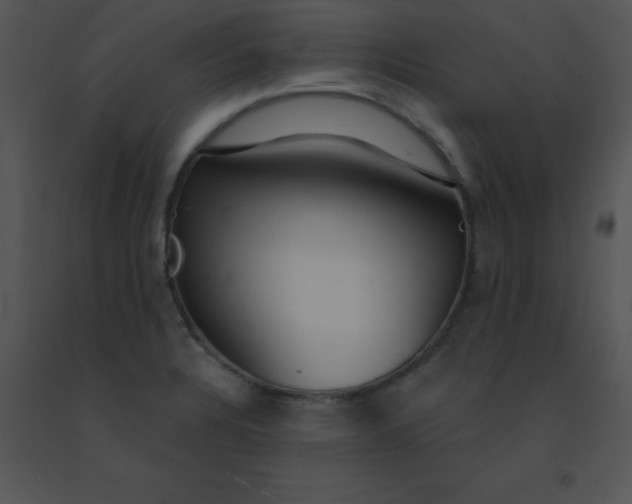 X0000091561328200708311406