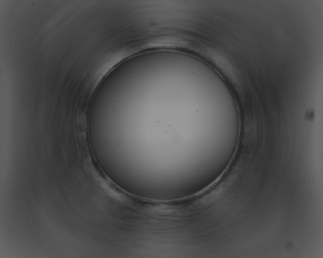 X0000091561329200708311407