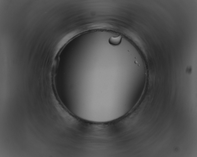 X0000091561330200708311407