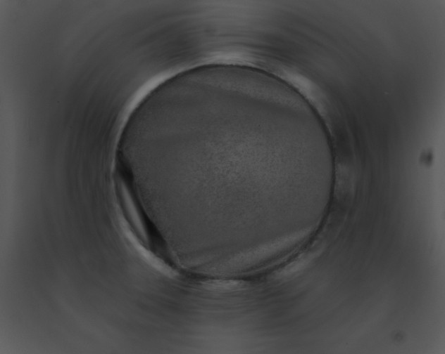 X0000091561331200708311407