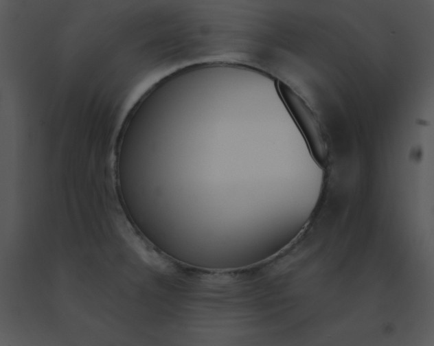 X0000091561332200708311407