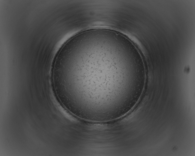 X0000091561333200708311407