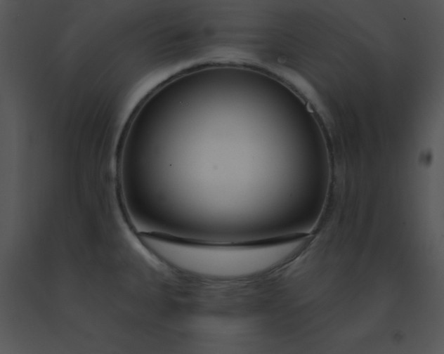 X0000091561335200708311407