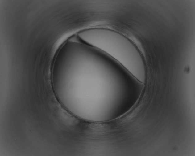 X0000091561336200708311407