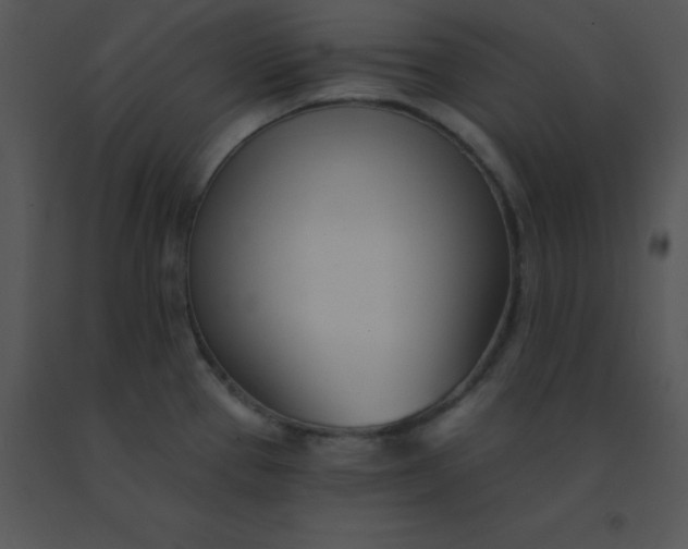 X0000091561337200708311407