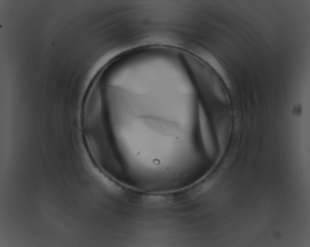 X0000091561339200708311407