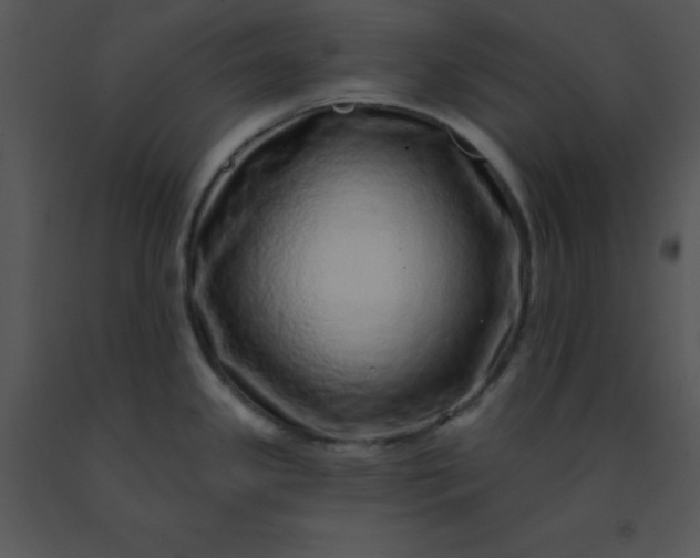 X0000091561341200708311407