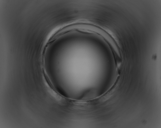 X0000091561342200708311407