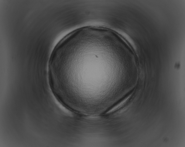 X0000091561343200708311407