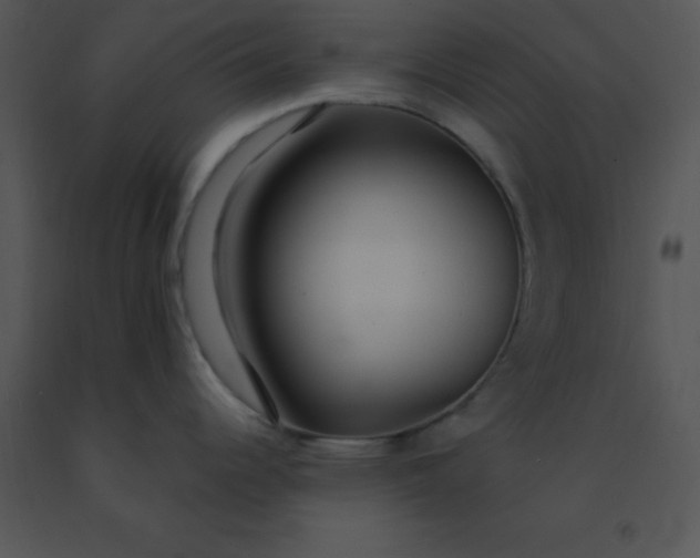 X0000091561344200708311407