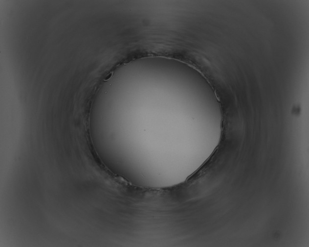 X0000091561345200708311406