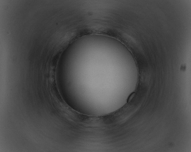 X0000091561346200708311406