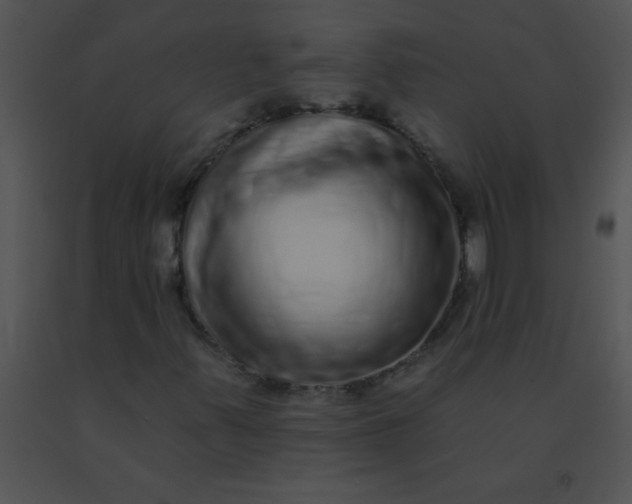 X0000091561347200708311406