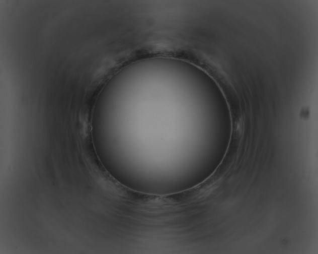 X0000091561348200708311406