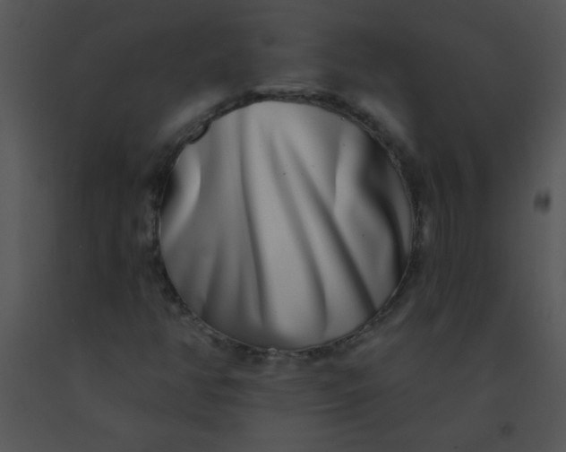 X0000091561350200708311406