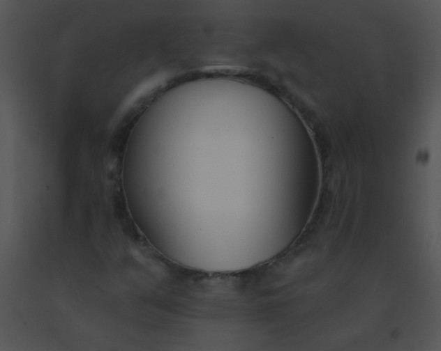 X0000091561351200708311406