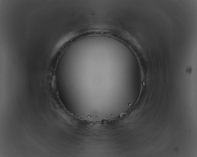 X0000091561352200708311406