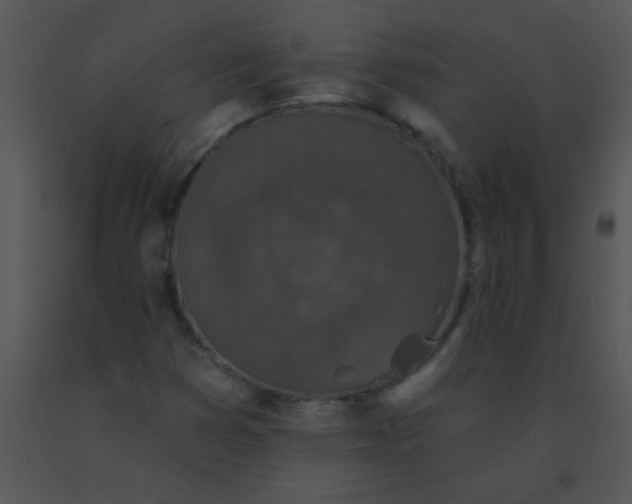 X0000091561353200708311406