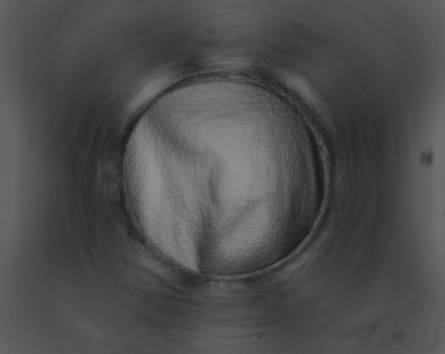 X0000091561354200708311406