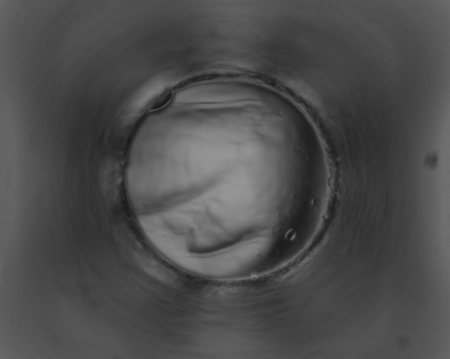 X0000091561355200708311406