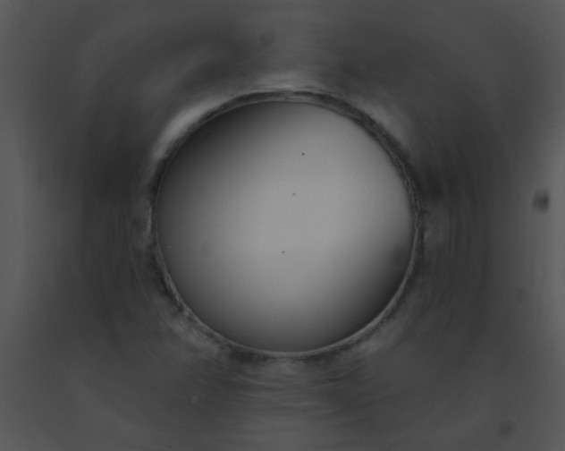 X0000091561358200708311406