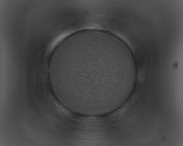 X0000091561359200708311406