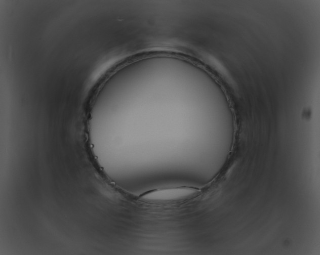 X0000091561360200708311406