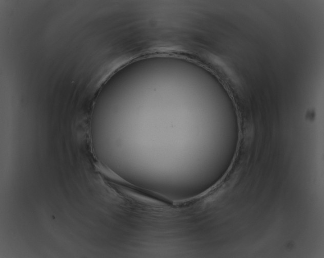 X0000091561361200708311406