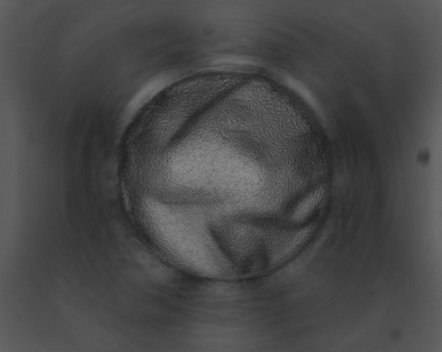 X0000091561362200708311406