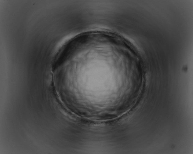 X0000091561363200708311406