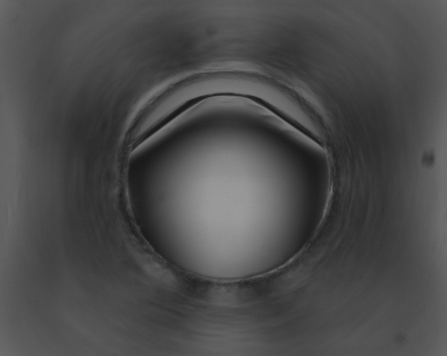 X0000091561364200708311406