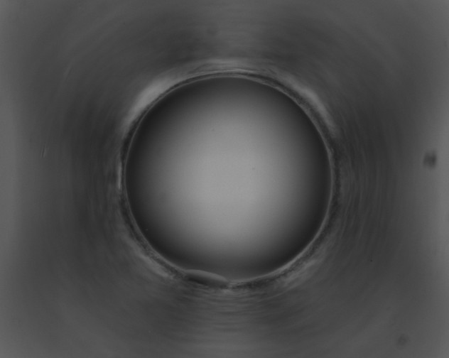 X0000091561365200708311406