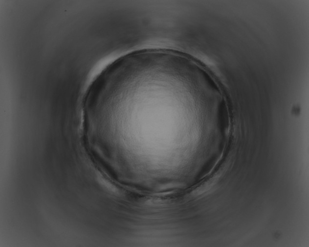 X0000091561366200708311406