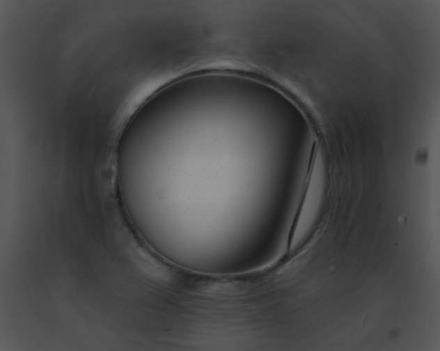 X0000091561367200708311406