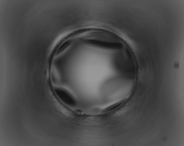 X0000091561368200708311406