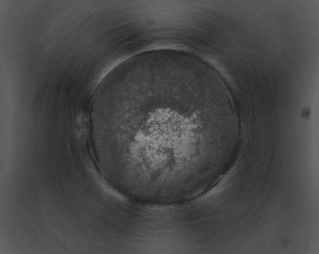 X0000091561369200708311406